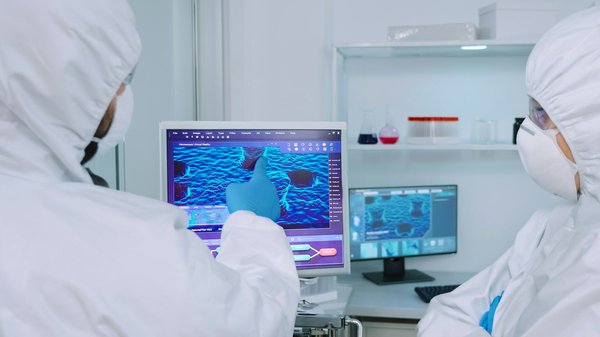 Comment les contes de fées ont-ils évolué à travers les siècles ?