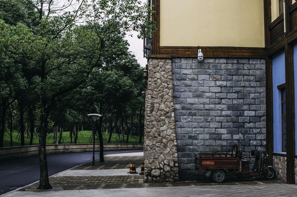 Comment les techniques de l'aquarelle botanique peuvent-elles être appliquées à l'illustration moderne ?